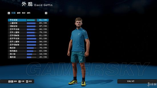 《澳洲国际网球》操作说明及模式、人物介绍