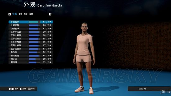 《澳洲国际网球》操作说明及模式、人物介绍