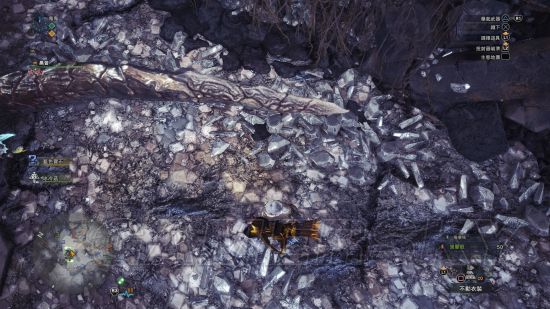 《怪物猎人世界》钢龙极限大小金测量方式