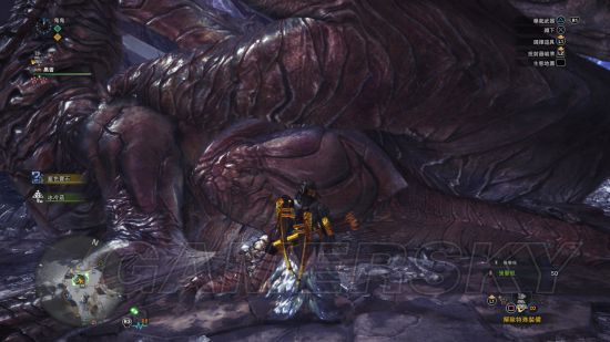 《怪物猎人世界》钢龙极限大小金测量方式