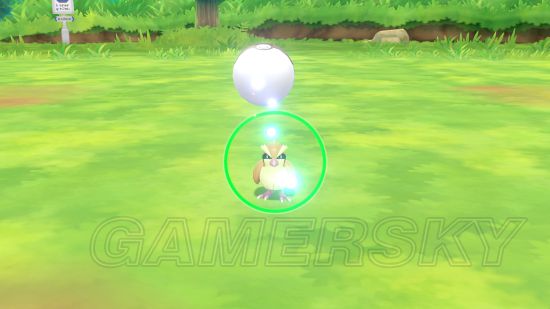 《精灵宝可梦皮卡丘/伊布》玩法及精灵球Plus使用方法介绍