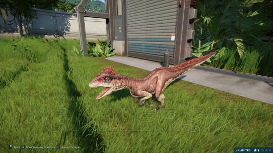 《侏罗纪世界进化》全恐龙花纹一览