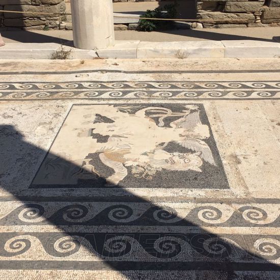 《刺客信条奥德赛》已知情报汇总 截图信息解读