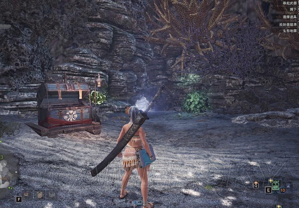 《怪物猎人世界》MOD下载合集 服装武器MOD大全_夏日泳装替换玩家角色MOD - 第7张