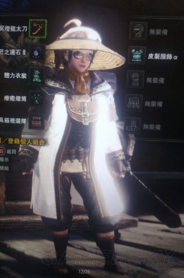 《怪物猎人世界》MOD下载合集 服装武器MOD大全_获得NPC的衣服 - 第1张