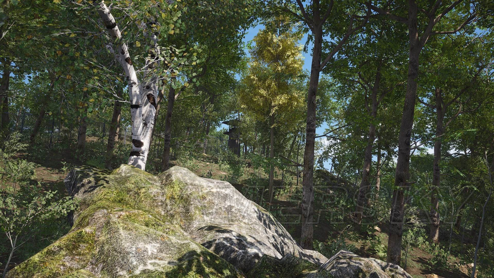 《人渣（SCUM）》神秘洞穴传送代码一览 - 第9张