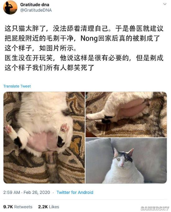游民星空
