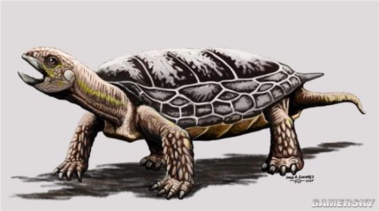 阿根廷科学家复原2亿年前乌龟化石：竟不会缩壳！