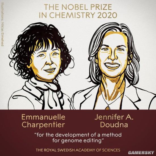 2020诺贝尔化学奖公布 充满争议的基因编辑之母