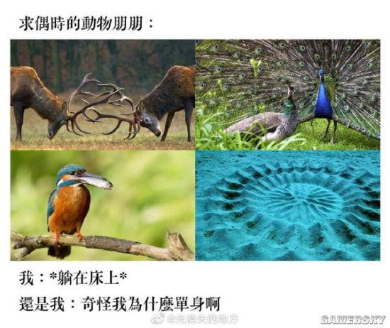 游民星空