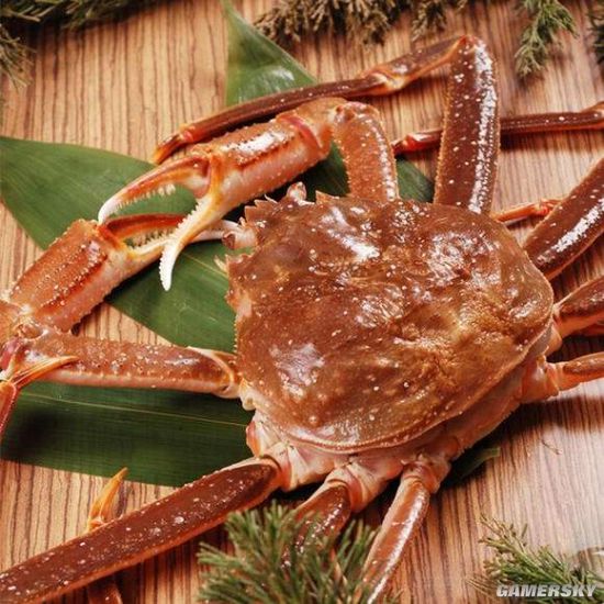 日本1.5公斤重松叶蟹创天价 拍卖一只达16万元