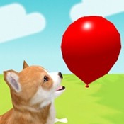 小狗与气球