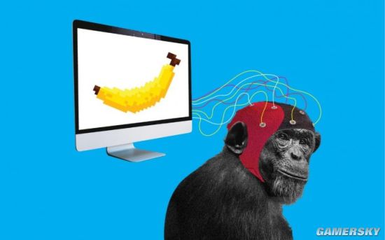 马斯克透露脑机互联新进展 猴子用脑电波玩视频游戏