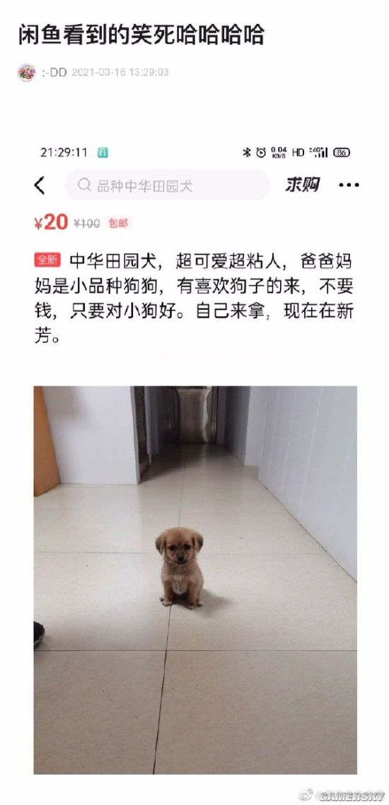 游民星空