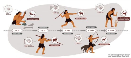 人类曾做过200万年的顶级掠食者 之后开始发展农业