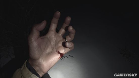 IGN统计《生化危机：村庄》主角伊森手受伤场面 洗手战神名不虚传