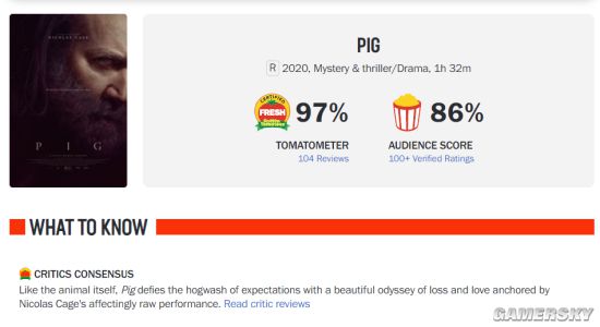 尼古拉斯·凯奇评价新片《猪》：大受好评有点吃惊 和基努·里维斯电影《疾速追杀》完全不同