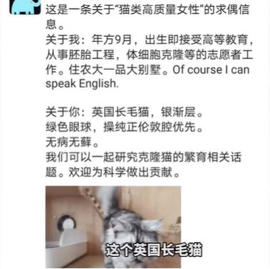 中国高校首例克隆猫“征婚” 众多网友晒猫相亲