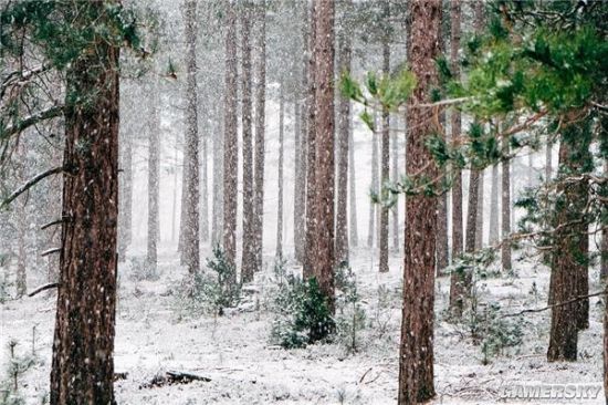 东北大兴安岭迎来秋季第一场雪 网友：欢迎来南方过冬