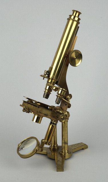 达尔文家传200年显微镜将拍卖 预估值25万至35万英镑