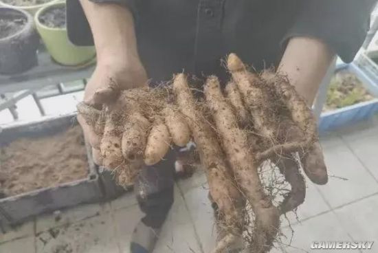 游民星空