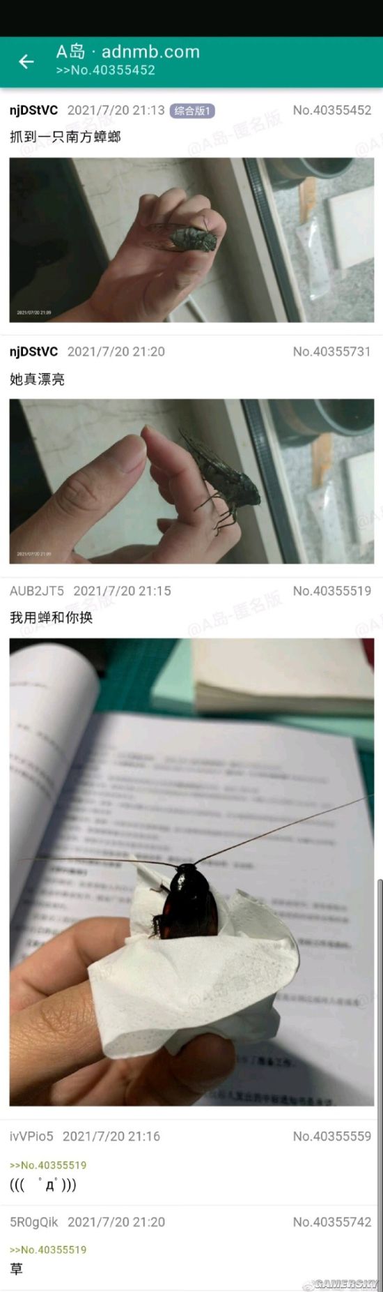 游民星空