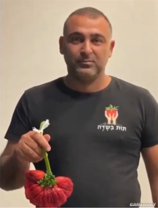以色列农民种出世界上最重草莓：重289克打破吉尼斯