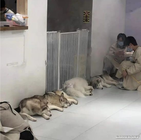 游民星空