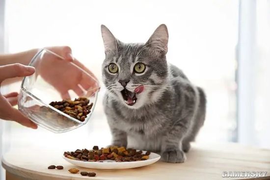 近百只猫疑因食用同一款猫粮后死亡 官方致歉：产品下架
