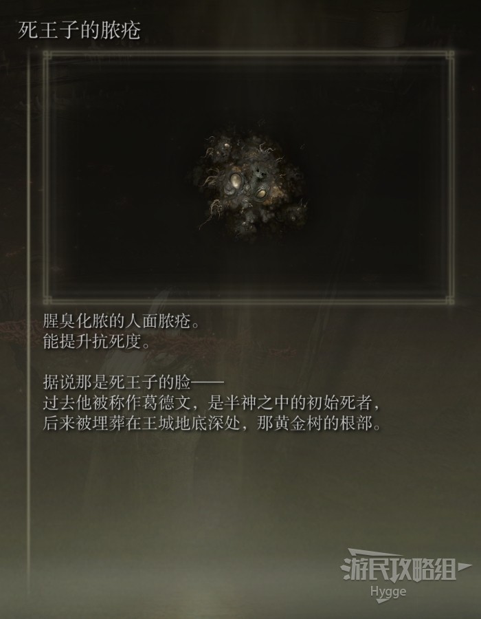 《艾尔登法环》全护符收集图文攻略 全护符获取方法和获取位置一览_死王子的脓疮