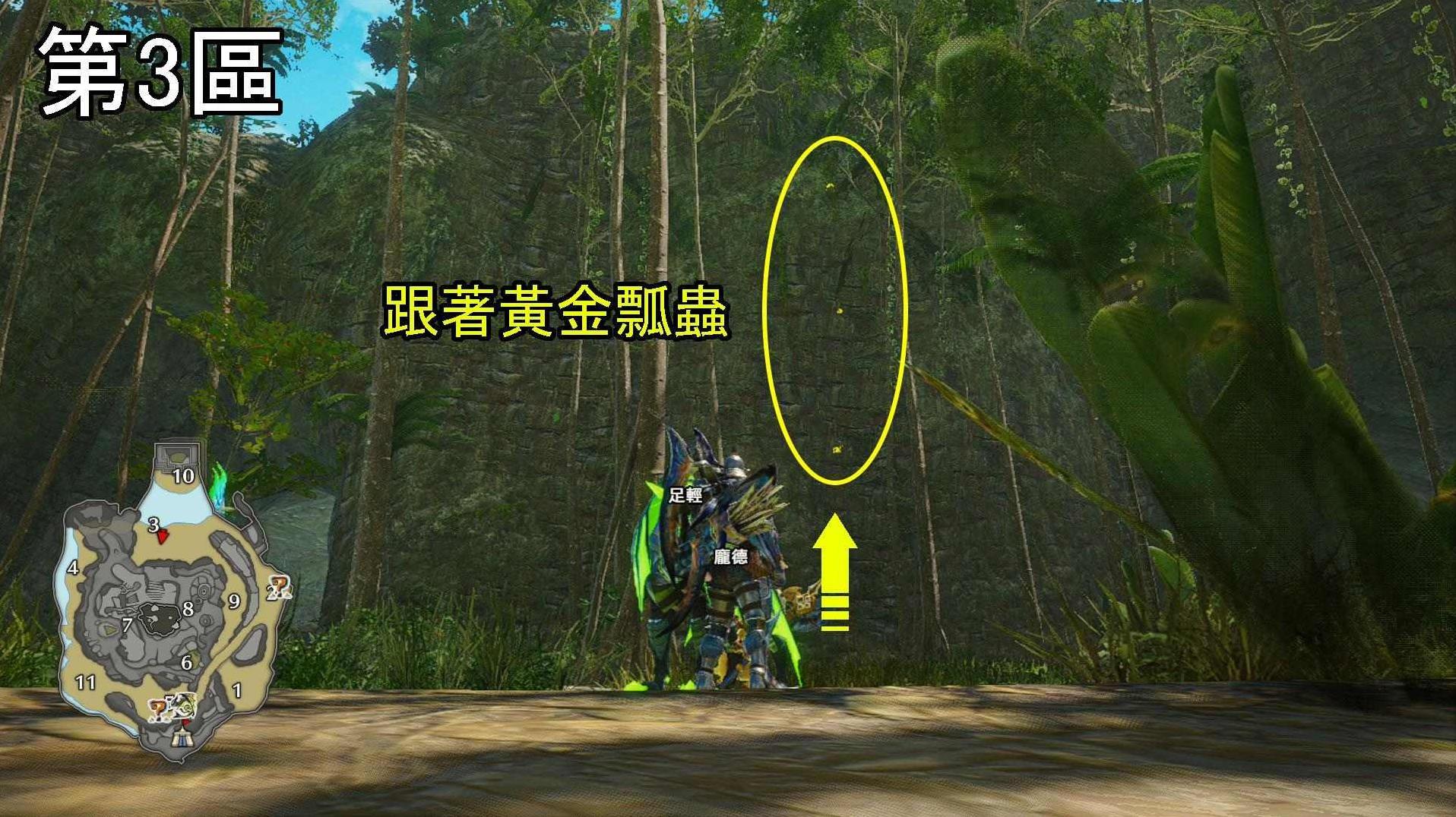 《怪物猎人崛起》曙光DLC密林环境生物与陷阱位置介绍 - 第1张