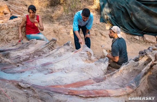 葡萄牙一男子自家后院挖出恐龙化石 可能是巨大恐龙遗骸