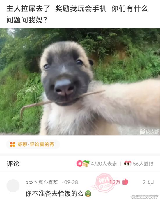 游民星空