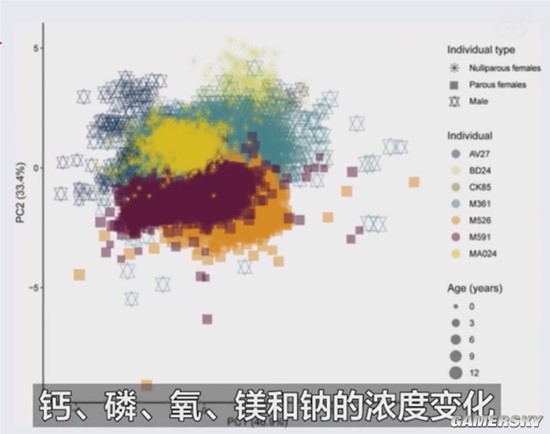 新研究称生育永久改变女性骨骼：钙和磷浓度降低