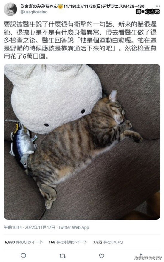 游民星空