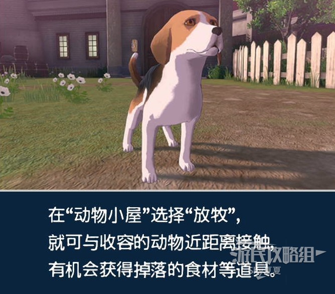 《火焰纹章结合（ENGAGE）》新手指南 战斗系统及据点图文讲解_据点-商店 - 第20张