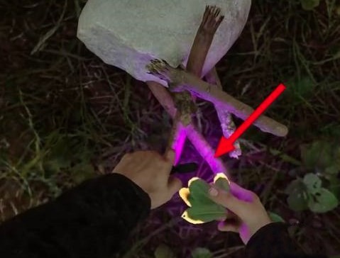 《森林之子》篝火制造方法 怎么制作篝火 - 第1张