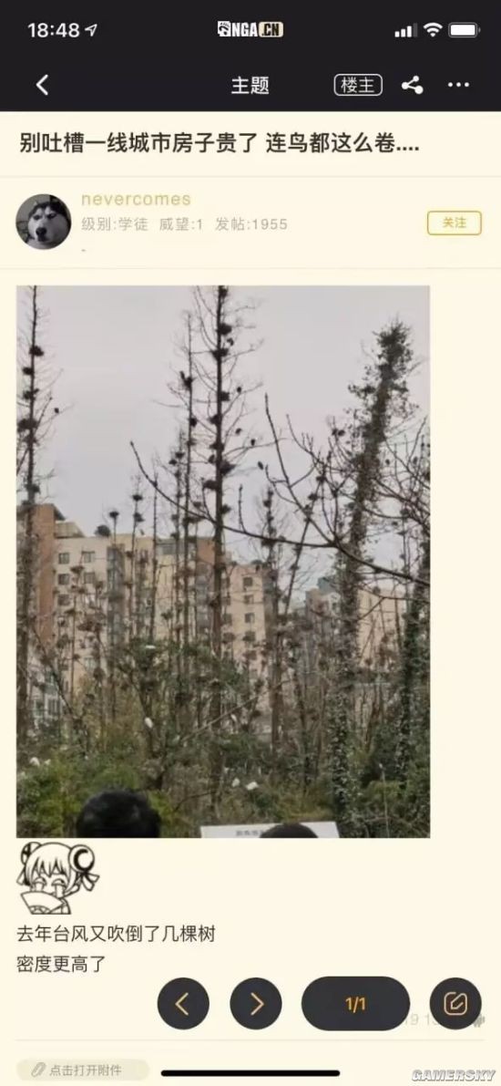 游民星空