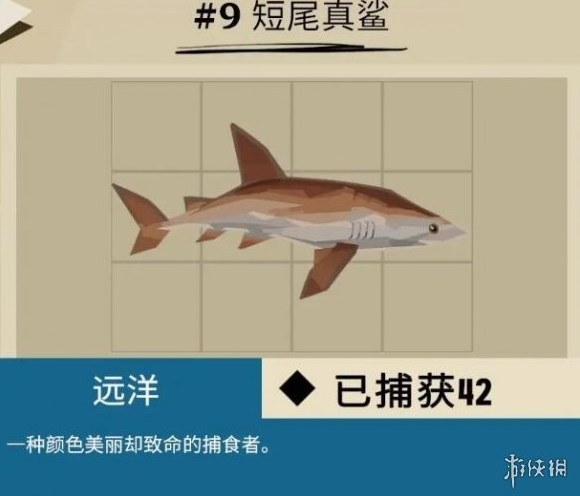 《漁帆暗湧》馬羅群島魚類彙總 馬羅群島魚類圖鑑_普通魚類 - 第9張