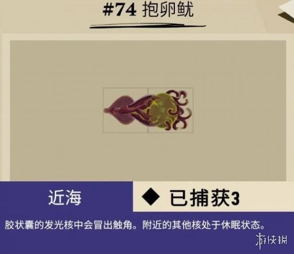 《漁帆暗湧》馬羅群島魚類彙總 馬羅群島魚類圖鑑_畸變品種 - 第7張