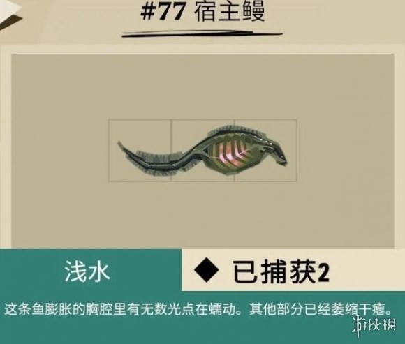 《漁帆暗湧》馬羅群島魚類彙總 馬羅群島魚類圖鑑_畸變品種 - 第10張