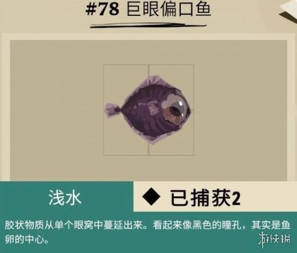 《漁帆暗湧》馬羅群島魚類彙總 馬羅群島魚類圖鑑_畸變品種 - 第11張