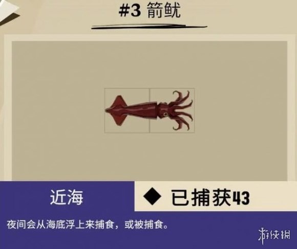 《漁帆暗湧》馬羅群島魚類彙總 馬羅群島魚類圖鑑_普通魚類 - 第3張