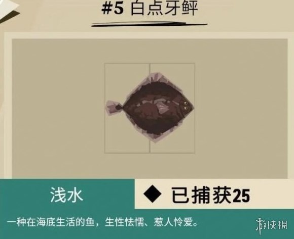 《漁帆暗湧》馬羅群島魚類彙總 馬羅群島魚類圖鑑_普通魚類 - 第5張