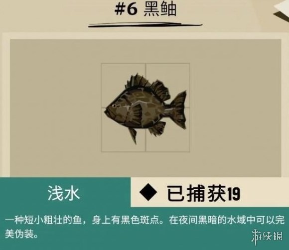 《漁帆暗湧》馬羅群島魚類彙總 馬羅群島魚類圖鑑_普通魚類 - 第6張