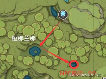 《原神》纳西妲突破材料劫波莲收集路线 - 第6张