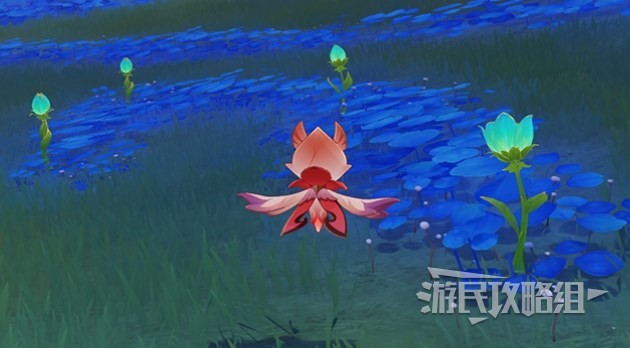 《原神》3.6净觉花位置及解谜方法 丰饶之海成就怎么解锁 - 第1张