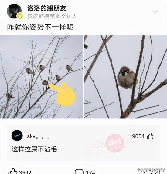 游民星空