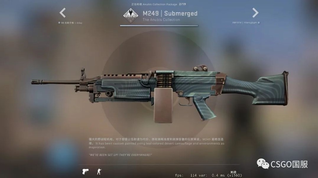 《CSGO》阿努比斯收藏品皮肤一览 - 第21张