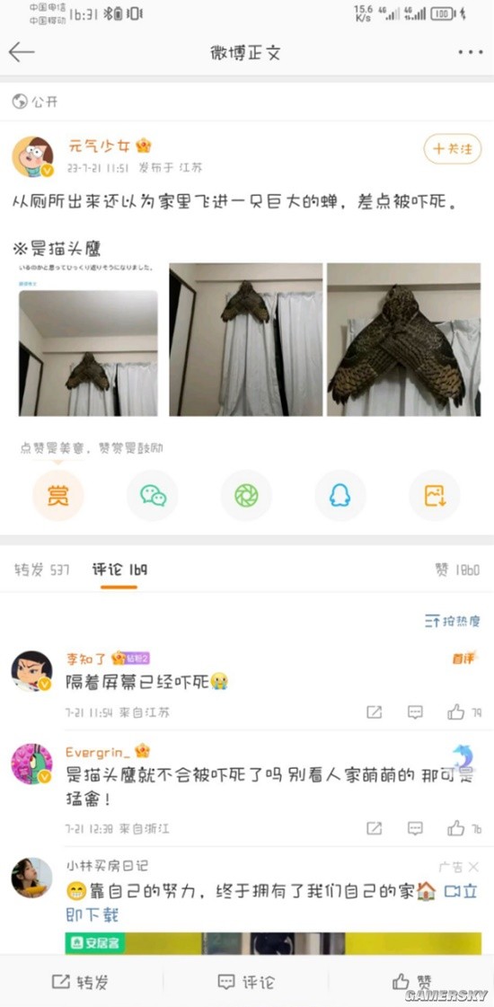 游民星空